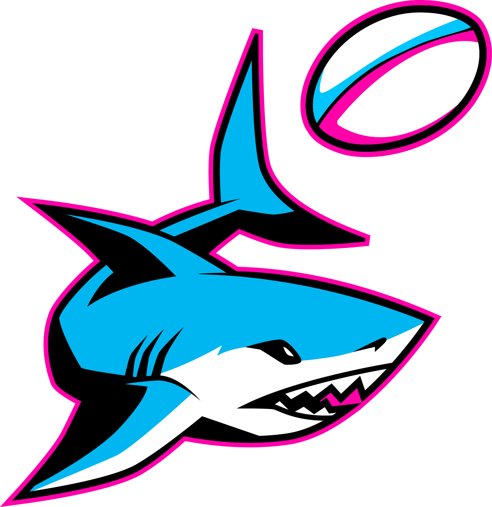 Miami Sharks - MLR's New Wave: Join the Rugby Revolution in 2024